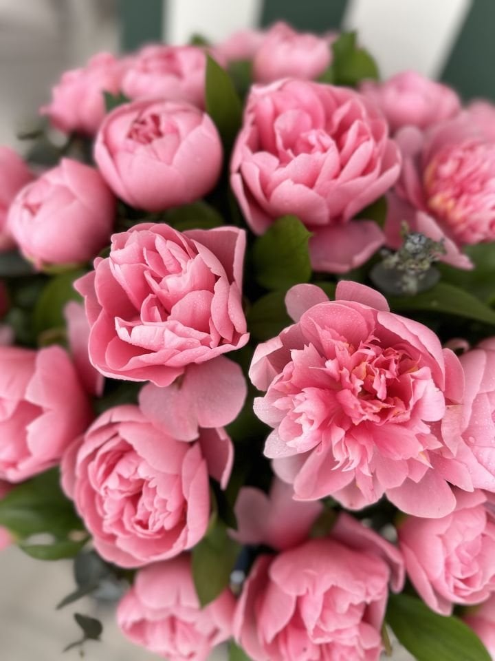 Coral Peony Box