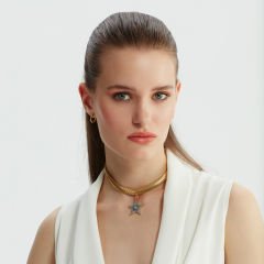 Shining Star Choker