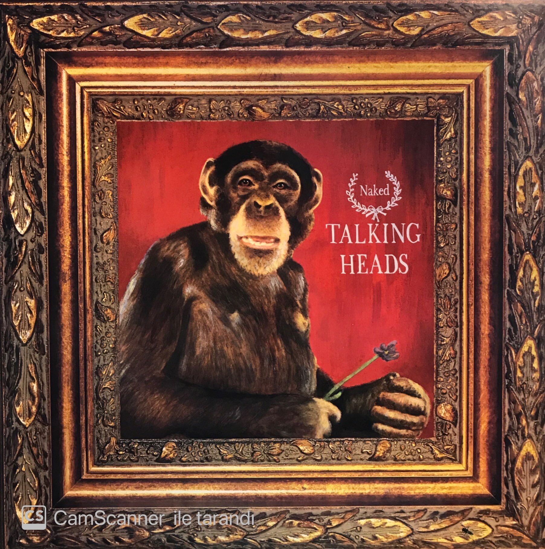 Talking Heads – Naked LP