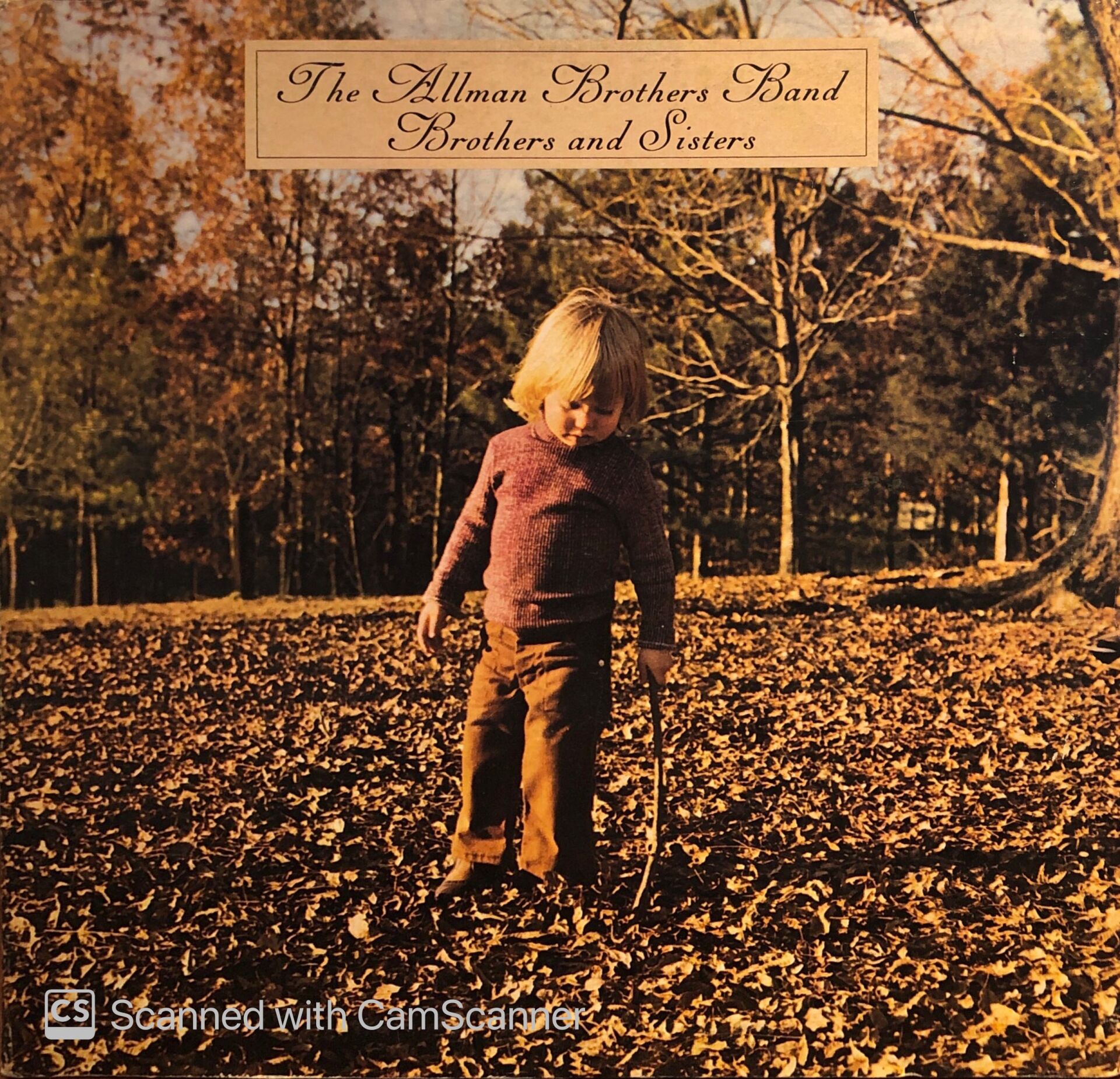 The Allman Brothers Band – Brothers And Sisters LP