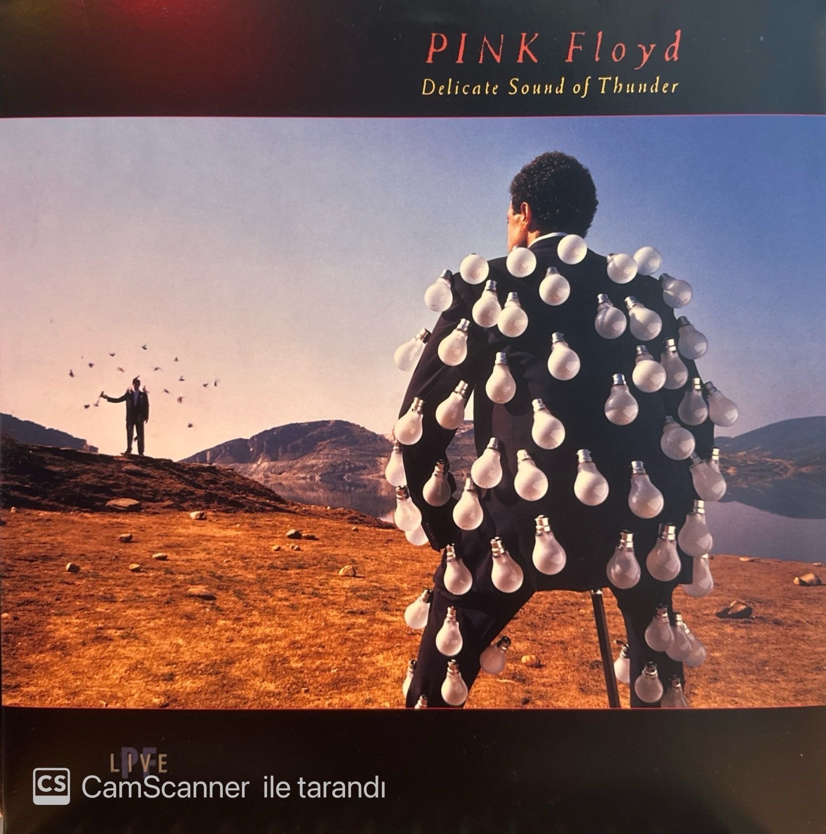 Pink Floyd - Delicate Sound of Thunder: Live LP