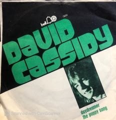 David Cassidy - Daydreamer / The Puppy Song 45lik