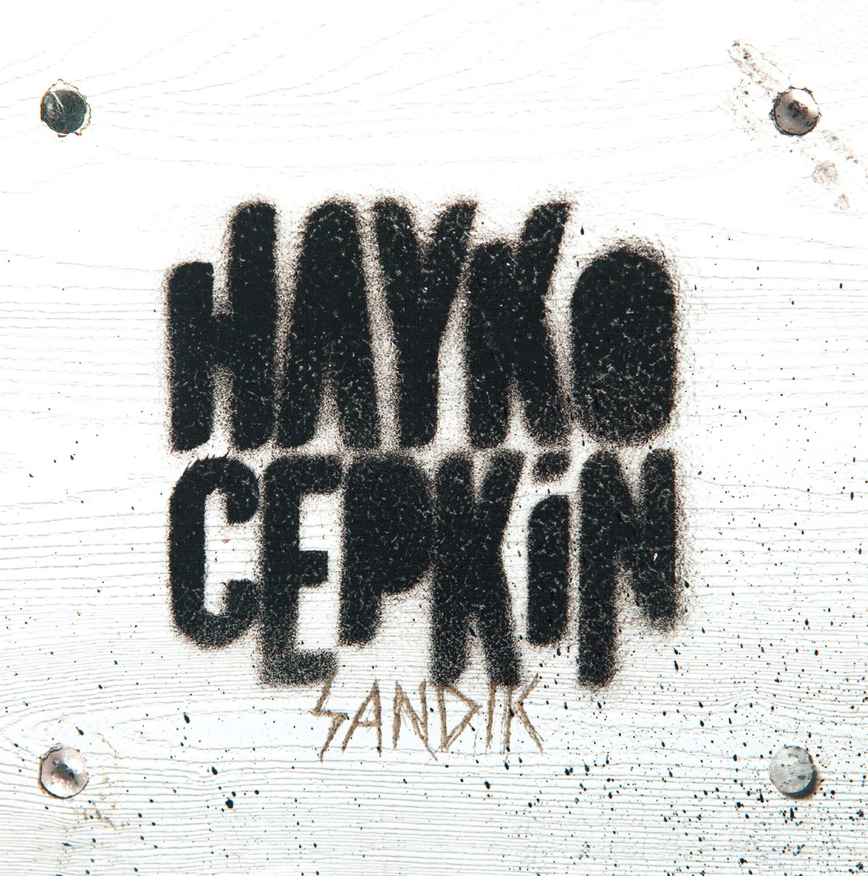 Hayko Cepkin - Sandık LP