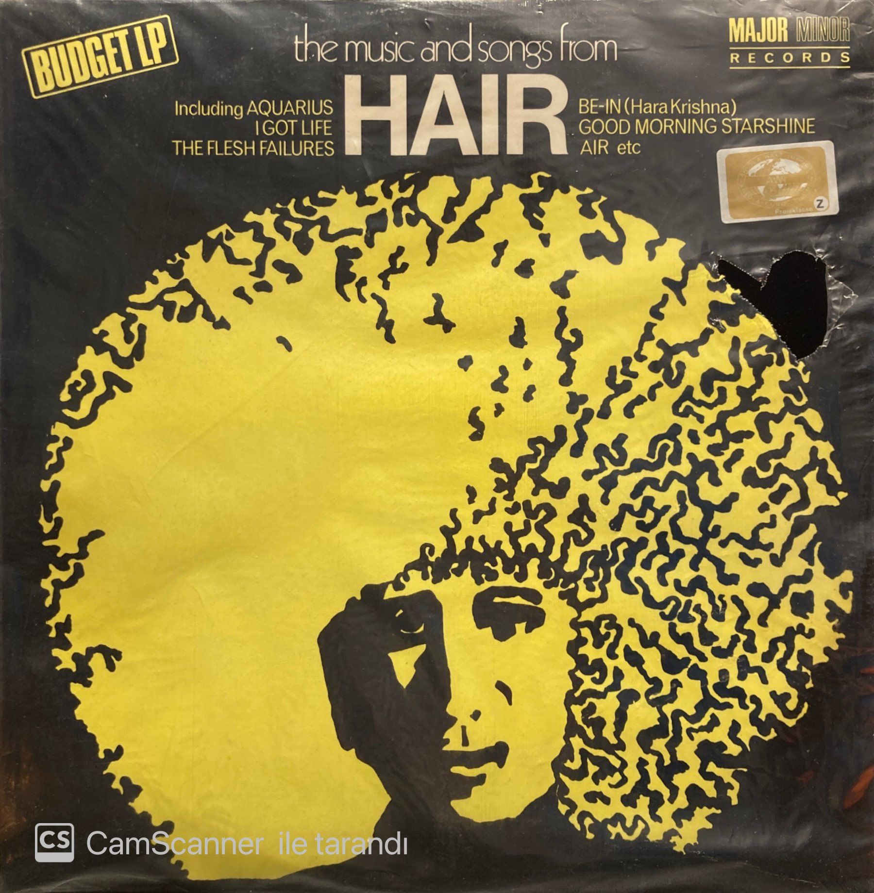 Geoff Love Featuring Dave Wintour And Pat Whitmore – The Music And Songs From Hair LP