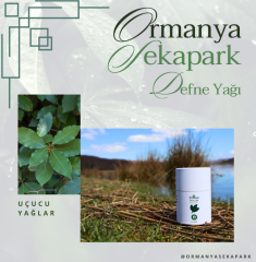 DEFNE UÇUCU YAĞI - 5 ml