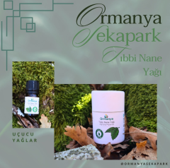 TIBBİ NANE UÇUCU YAĞI - 10 ml