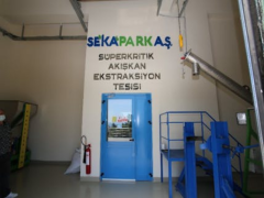 BİBERİYE CO2 TOZ EKSTRAKTI (50g)