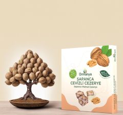 SAPANCA CEVİZLİ CEZERYE (450 GR)