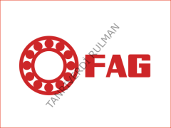 FAG F-574302.ZL RULMAN