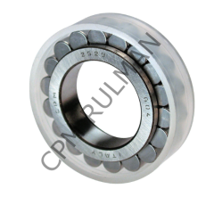 INA RSL 18 3006 RULMAN