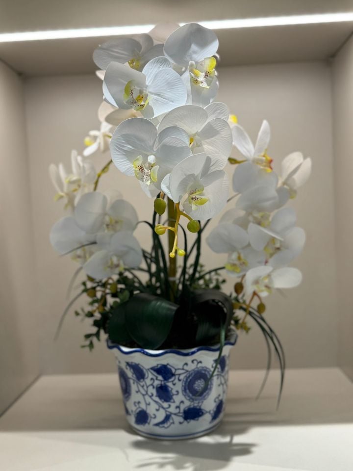 Orkideli Blue Blanc Vazo
