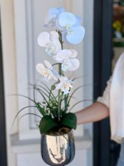 Metal Gümüş Vazolu Tek Dal Orkide Beyaz