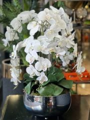 Islak Beyaz Orkideli Gümüş Çanak Vazo / 8 Dal