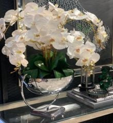 Beyaz Islak Orkideli & Gümüş Kupa Vazo