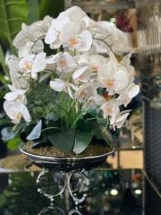 Islak Orkideli C Ayaklı Vazo