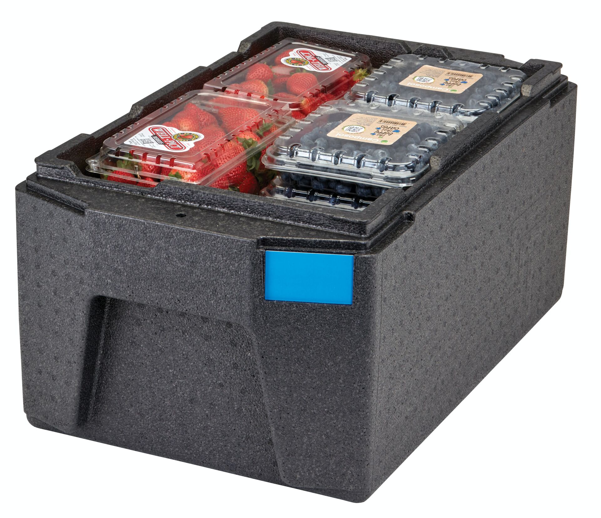 Cambro EPP180LH Gastronorm Thermobox,  Küvet GN 1/1 20 CM, Üstten Yüklemeli Hafif İzolasyonlu Taşıyıcı