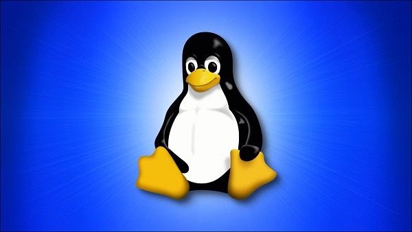 Linux'ta Dosya ve Klasör İzinleri: Görüntüleme ve Değiştirme Örnekleri