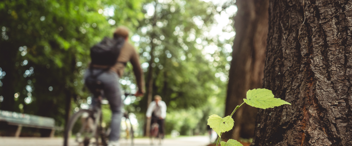 Bisiklet İstasyonlarıyla Açık Havada Sağlıklı Yaşam İpuçları