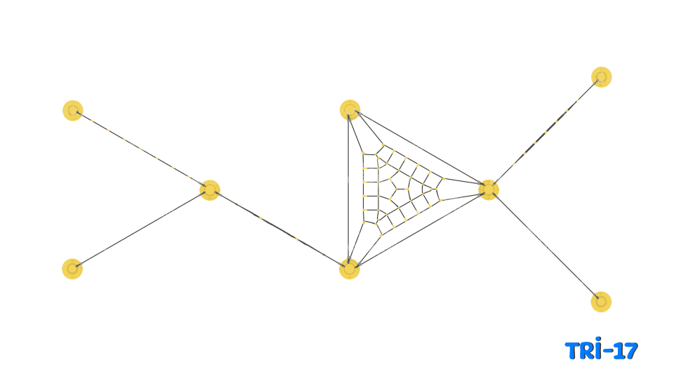 TRİ-17 İp Tırmanma Seti