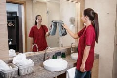 WVP 10 Adv Şarjlı Cam/Yüzey Temizleme Makinesi 1.633-560.0