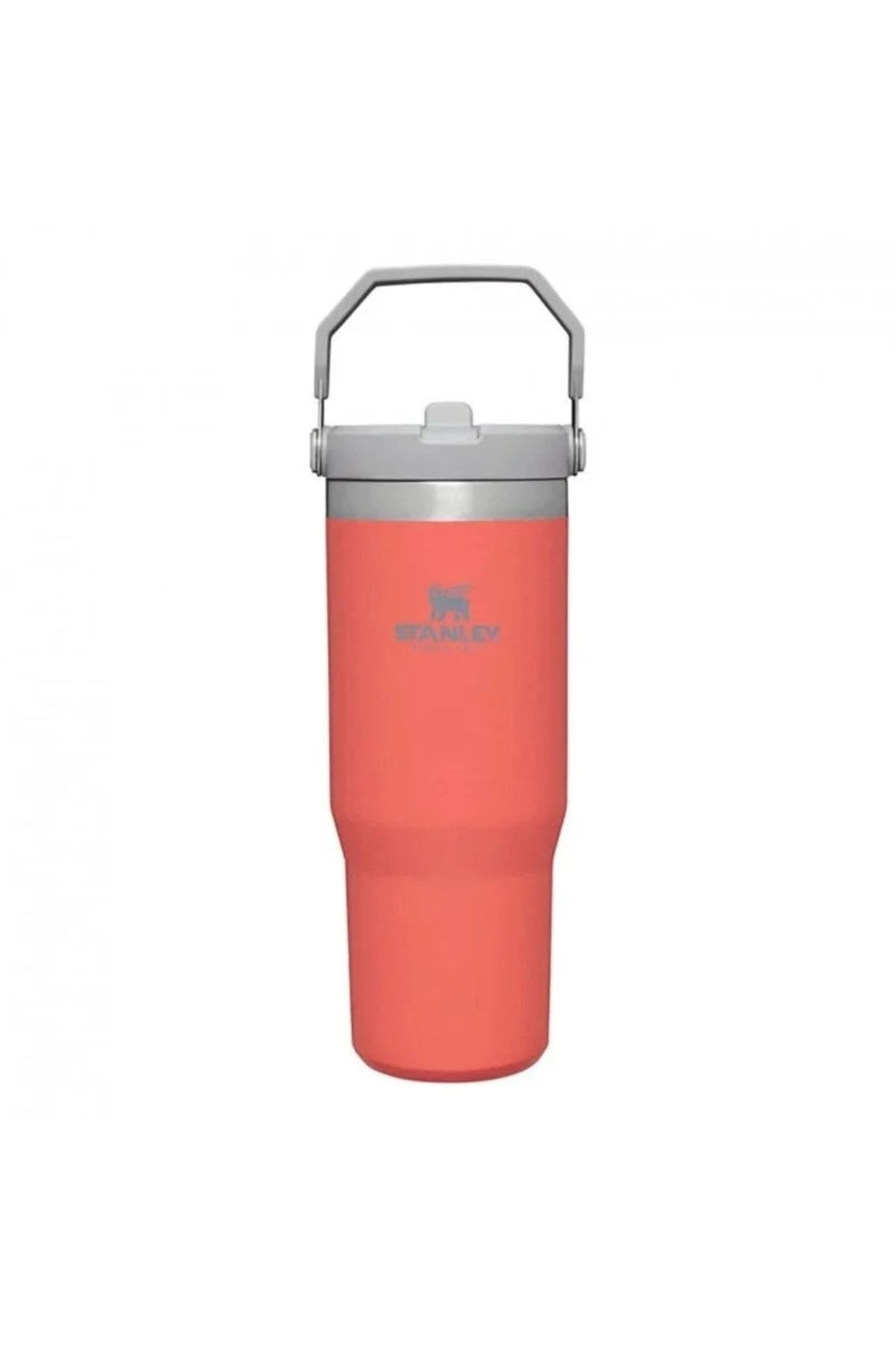 Stanley The IceFlow Flip Straw Pipetli Termos Bardak 0,89 LT