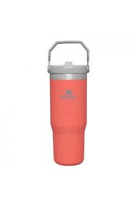 Stanley The IceFlow Flip Straw Pipetli Termos Bardak 0,89 LT