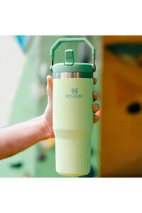 Stanley The IceFlow Flip Straw Pipetli Termos Bardak 0,89 LT