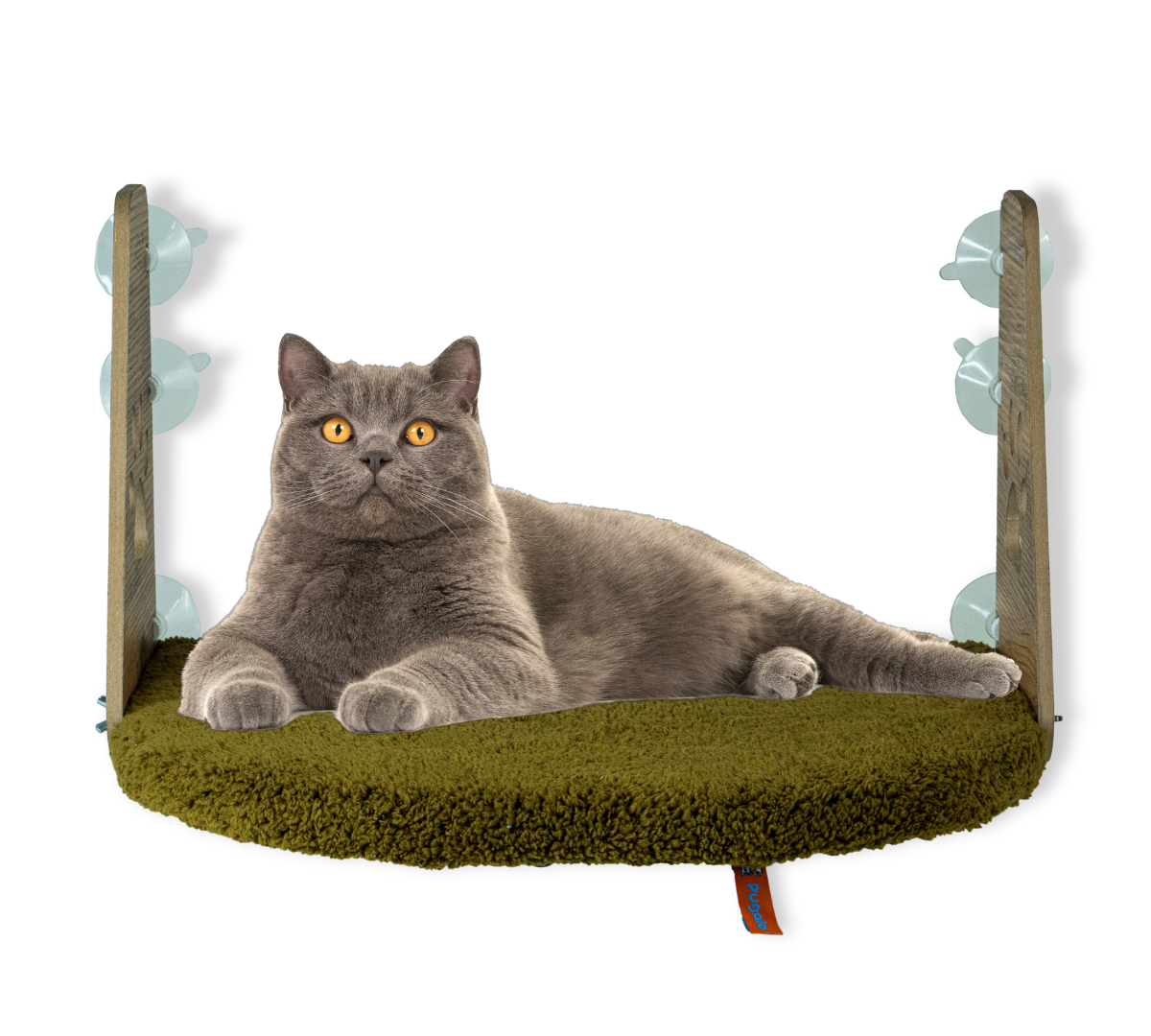 Pugalo Vantuzlu Kedi Cam Yatağı