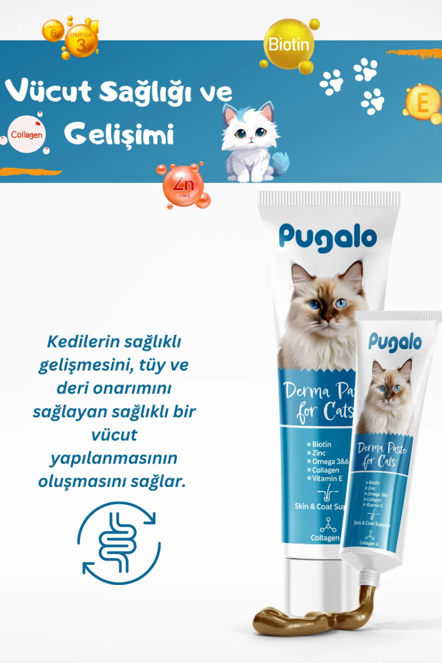 DERMA PASTE