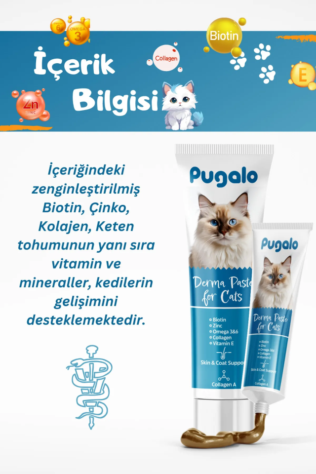 DERMA PASTE