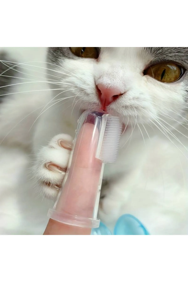 KEDİ PARMAK DİŞ FIRÇASI
