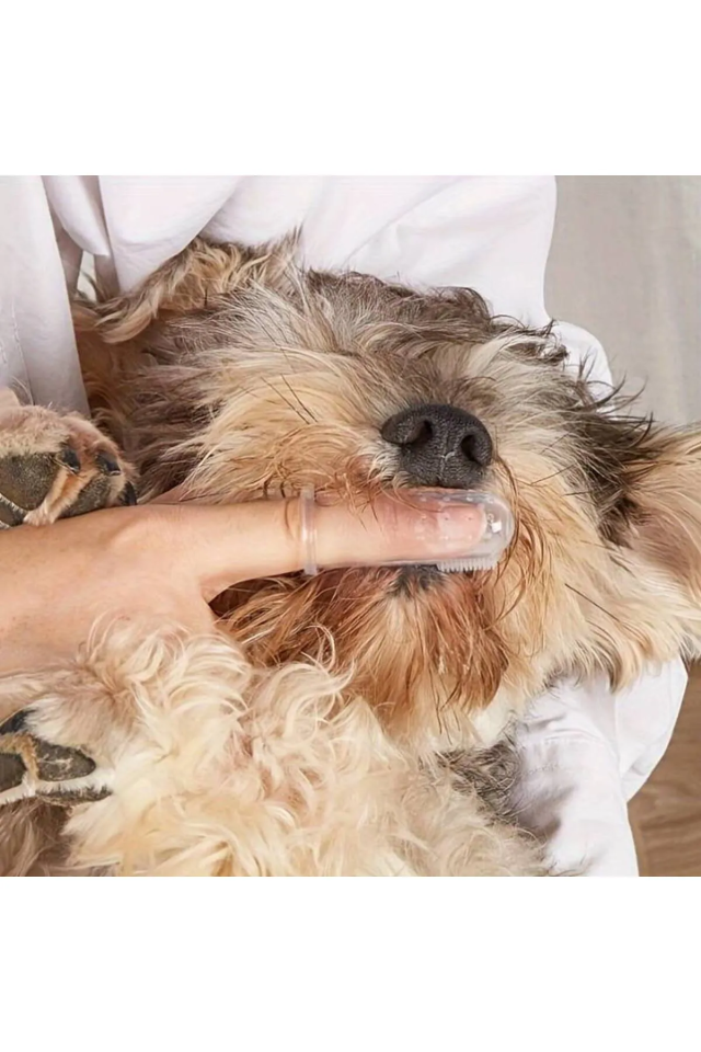 PUGALO KÖPEK PARMAK DİŞ FIRÇASI
