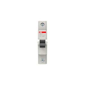 ABB 2CDS631031R0254 BMS311C25 Miniature Circuit Breaker