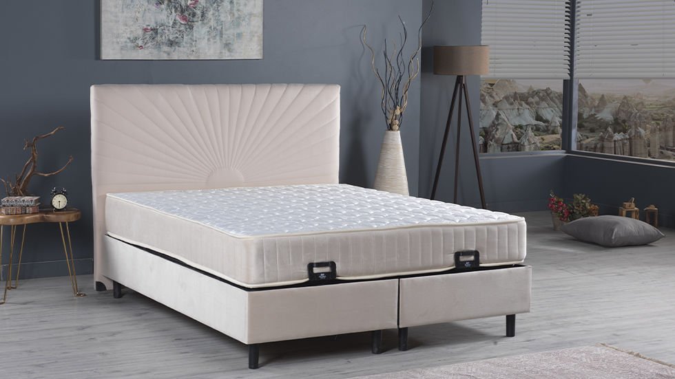 YOGA ÜÇLÜ SET (Y+BZ+BS) FLORA