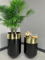 Dekoratif Gold Darbuka Parlak Siyah Saksı 70cm + Sehpa 60cm İkili Set