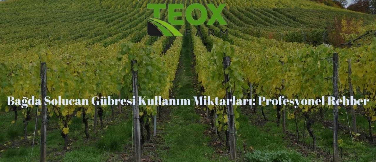 Bağda Solucan Gübresi Kullanım Miktarları: Profesyonel Rehber 1 Bağda Solucan Gübresi Kullanım Miktarları: Profesyonel Rehber