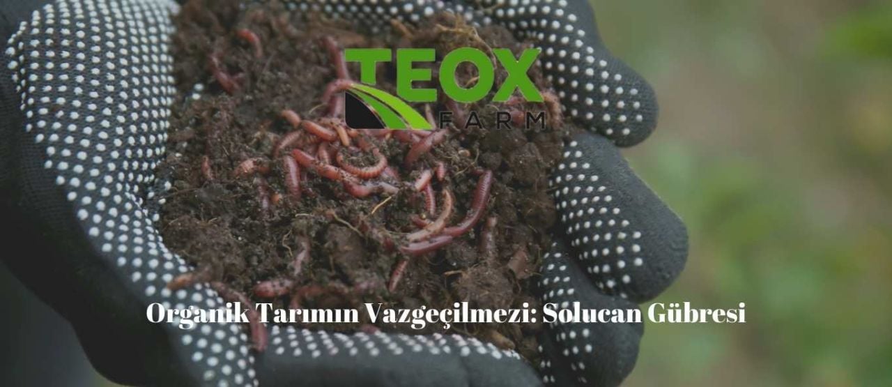 Organik Tarımın Vazgeçilmezi: Solucan Gübresi 1 Organik Tarımın Vazgeçilmezi: Solucan Gübresi