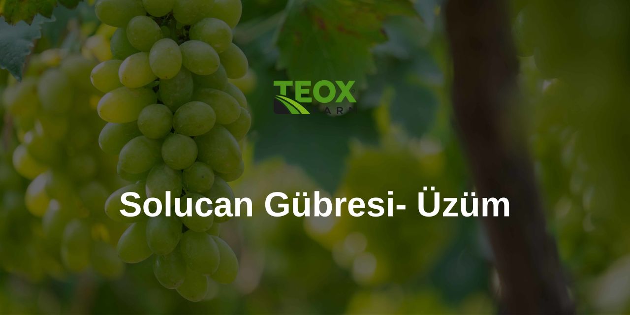 Bağ Hastalıkları ile Mücadelede TeoxFarm Solucan Gübresi: Doğal Bir Çözüm 1 Bağ Hastalıkları ile Mücadelede TeoxFarm Solucan Gübresi: Doğal Bir Çözüm
