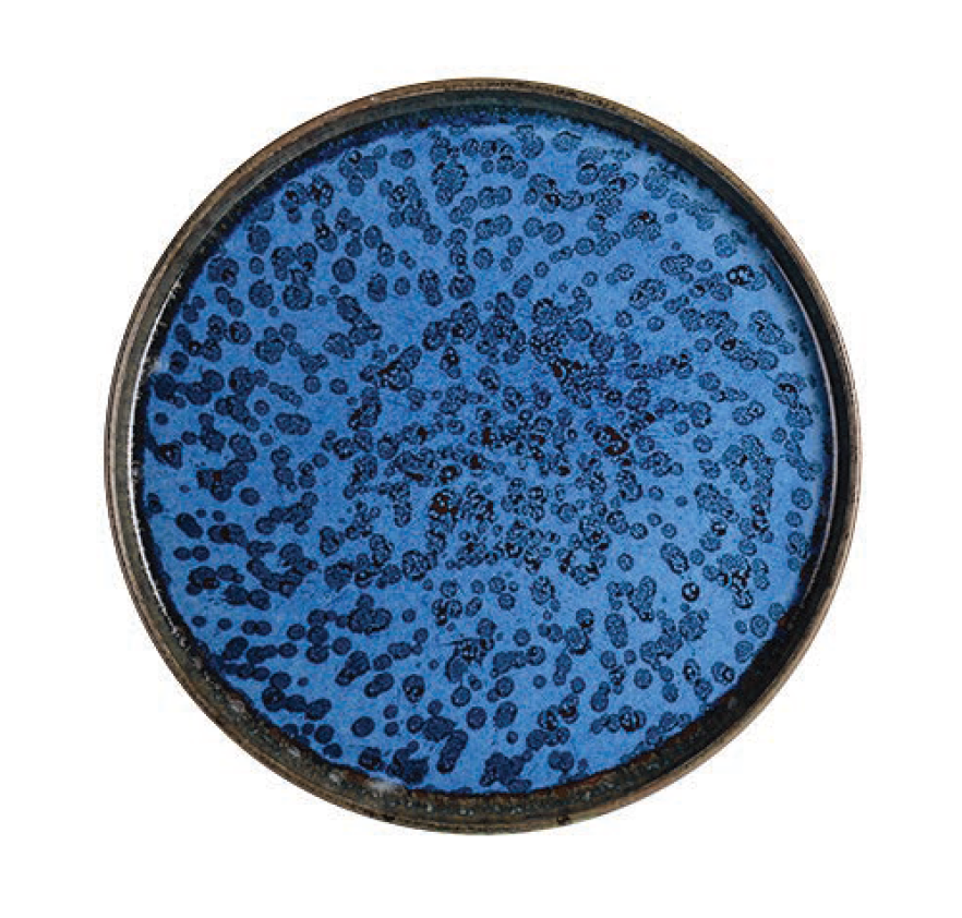 Rinart Porselen Pavona Ellipse Düz Tabak 25 cm