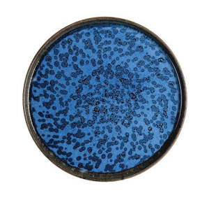 Rinart Porselen Pavona Ellipse Düz Tabak 25 cm