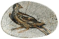 Bonna Mesopotamia Bird Vago Oval Boat Plate 15 cm / 130 cc