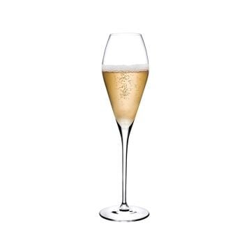 Paşabahçe Nude Fantasy Champagne Glass 290 cc - 66160