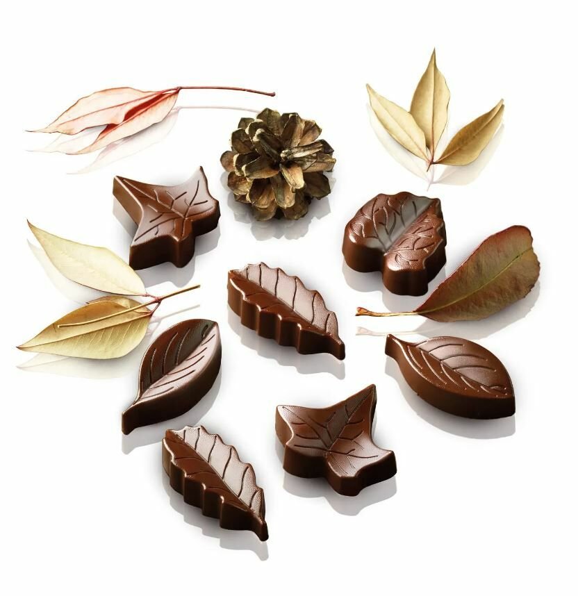Silikomart Nature Silikon Çikolata Kalıbı - SCG10