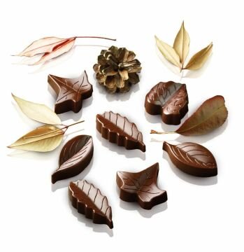 Silikomart Nature Silikon Çikolata Kalıbı - SCG10