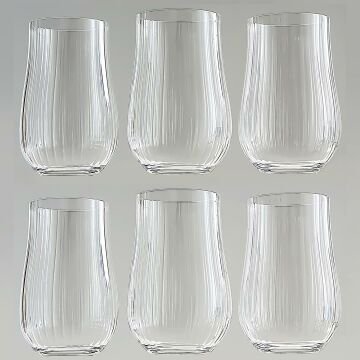 Jumbo Tulipa Tumbler Bardak Takımı 450 ml