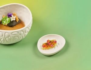 Cookplay Rex Tabak Sır XS