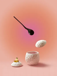 Cookplay Rex Kase Kapağı S