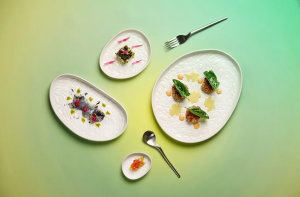 Cookplay Rex Tabak Sır L