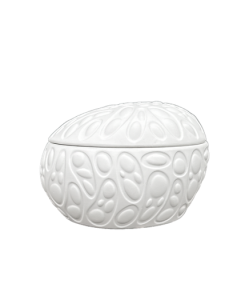 Rex Egg Kapak L 14x 12 x 4