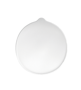 The Plate 22.2 x 25 x 2.3